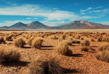 Kuzey Şili 'nin fantastik manzaraları, Atacama Çölü. Güzel, ilham verici doğal manzaralar..