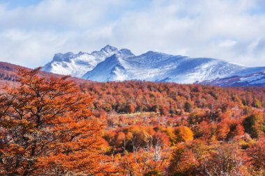 Dağlarda renkli sonbahar mevsimi