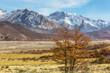 Patagonya dağlarında sonbahar sezonu, Güney Amerika, Arjantin