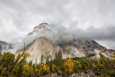 Yosemite Ulusal Parkı, Kaliforniya, ABD 'de güzel bir sonbahar sezonu