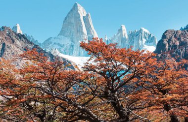 Ünlü Cerro Fitz Roy ve Cerro Torre. Patagonya, Arjantin 'in en güzel ve vurgulanması en zor zirvelerinden biri. Sonbahar mevsimi.