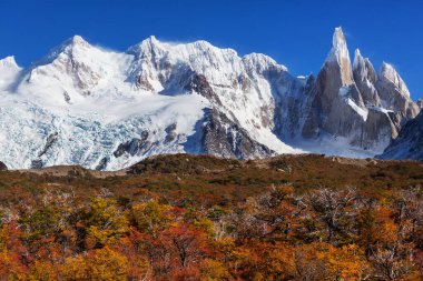 Arjantin 'in Patagonya dağlarındaki meşhur Cerro Torre zirvesi. Güney Amerika 'daki güzel dağ manzaraları. Sonbahar mevsimi.