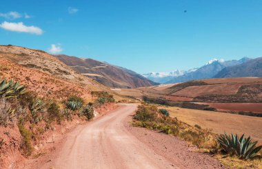 Peru, Güney Amerika 'daki yeşil dağlardaki tarım arazileri