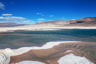 Kuzey Arjantin 'in fantastik manzaraları. Güzel, ilham verici doğal manzaralar. Salar Antofalla 'da Laguna Verde.