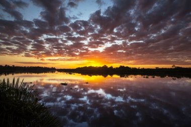 Sunset scene on the lake at sunset summer nature landscapes