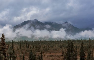 Yazın Alaska 'nın Picturesque Dağları. Kar, kütleleri, buzulları ve kayalık tepeleri kapladı. Güzel doğal arkaplan.