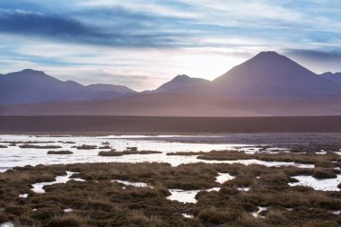 Kuzey Şili 'nin fantastik manzaraları, Atacama Çölü. Güzel, ilham verici doğal manzaralar..