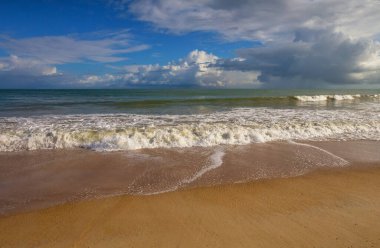 Okyanus kıyısında büyük dalgalar