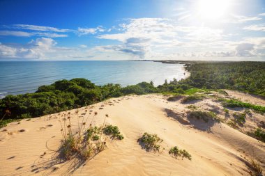 Brezilya 'nın okyanus sahilindeki kum tepeleri.