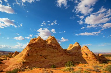 Vermillion Cliffs Vahşi Doğa Bölgesi, Utah ve Arizona 'dan Çakal Buttes.