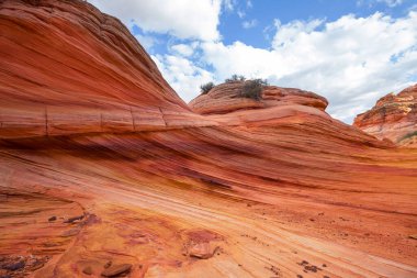 Vermillion Cliffs Vahşi Doğa Bölgesi, Utah ve Arizona 'dan Çakal Buttes.