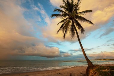 Tropikal sahildeki güzel yaz manzaraları. Tatil arkaplanı.