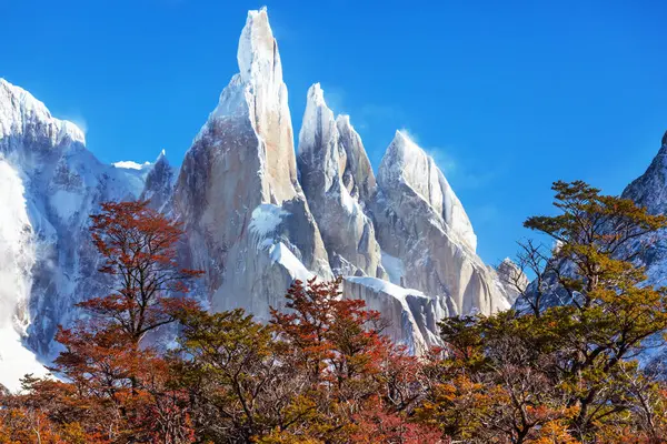 Arjantin 'in Patagonya dağlarındaki meşhur Cerro Torre zirvesi. Güney Amerika 'daki güzel dağ manzaraları. Sonbahar mevsimi.