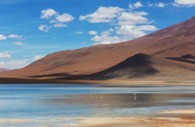 And Dağları 'ndaki Altiplano Gölü, Bolivya, Güney Amerika
