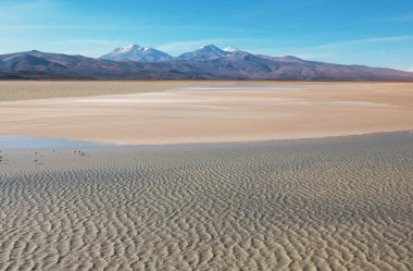And Dağları 'ndaki Altiplano Gölü, Bolivya, Güney Amerika