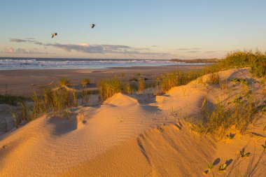 Brezilya 'da okyanus sahilindeki kum tepeleri. Atlantik Okyanusu kıyısında gün doğumu sahnesi..