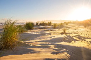 Brezilya 'da okyanus sahilindeki kum tepeleri. Atlantik Okyanusu kıyısında gün doğumu sahnesi..