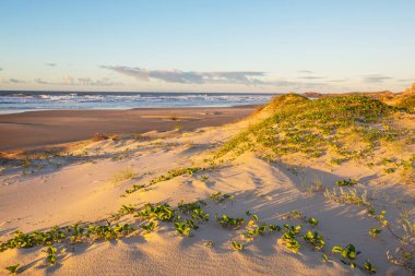 Brezilya 'da okyanus sahilindeki kum tepeleri. Atlantik Okyanusu kıyısında gün doğumu sahnesi..
