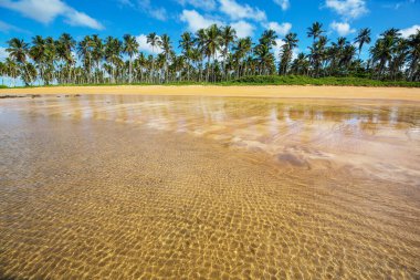Tropikal sahildeki güzel yaz manzaraları. Tatil arkaplanı.