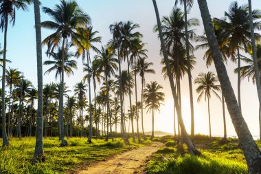 Tropikal sahildeki güzel yaz manzaraları. Tatil arkaplanı.