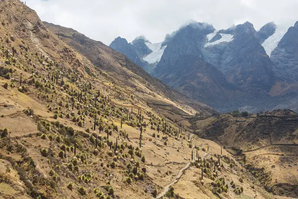 Cordillera Blanca, Peru, Güney Amerika 'daki güzel dağ manzaraları