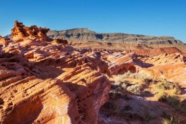 Çöl manzaraları Nevada devlet, ABD