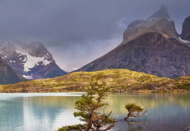 Şili 'deki Torres del Paine Ulusal Parkı' ndaki güzel dağ manzaraları. Dünyaca ünlü yürüyüş bölgesi.