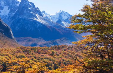 Patagonya dağlarında sonbahar sezonu, Güney Amerika, Arjantin