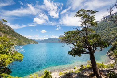 Patagonya 'daki güzel dağ manzaraları. Güney Amerika, Arjantin 'de dağlar gölü.