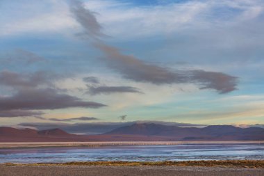 Kuzey Şili 'nin fantastik manzaraları, Atacama Çölü. Güzel, ilham verici doğal manzaralar..