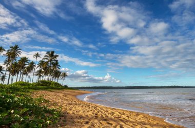Tropikal sahildeki güzel yaz manzaraları. Tatil arkaplanı.