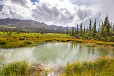Alaska tundrasında dinginlik gölü.