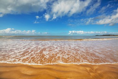 Okyanusta yüzen bir adam