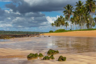 Tropikal sahildeki güzel yaz manzaraları. Tatil arkaplanı.