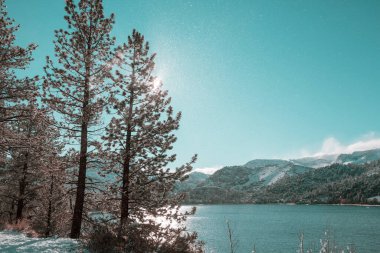 Sierra Nevada Dağının manzarası. Sonbahar sonu manzarası. Kaliforniya, ABD.