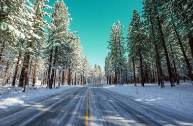 Rural  road in winter season. Beautiful winter forest. clipart