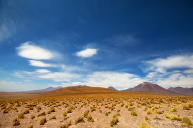 Kuzey Şili 'nin fantastik manzaraları, Atacama Çölü. Güzel, ilham verici doğal manzaralar..