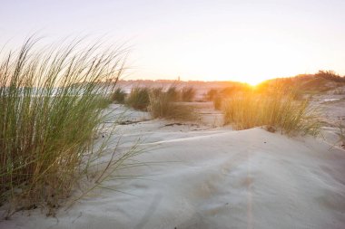 Brezilya 'da okyanus sahilindeki kum tepeleri. Atlantik Okyanusu kıyısında gün doğumu sahnesi..