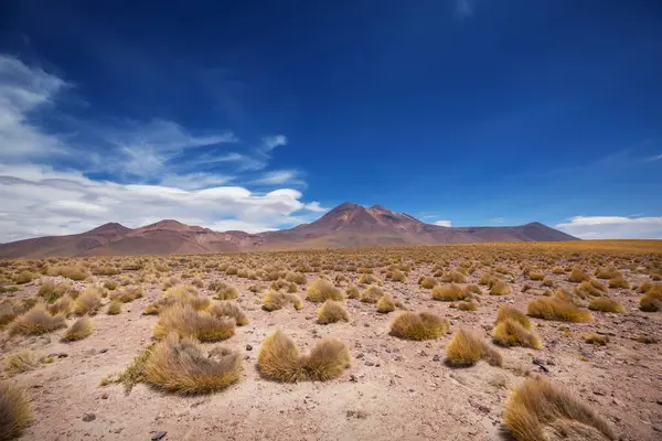 Kuzey Şili 'nin fantastik manzaraları, Atacama Çölü. Güzel, ilham verici doğal manzaralar..