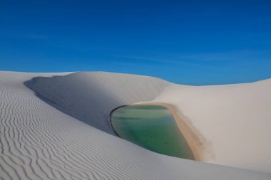 Lagoons in the desert of Lencois Maranhenses National Park, Brazil. Unusual natural landscapes. clipart