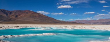 Fantastic Scenic landscapes of Northern Argentina. Beautiful inspiring natural landscapes. Laguna Verde in Salar Antofalla. clipart