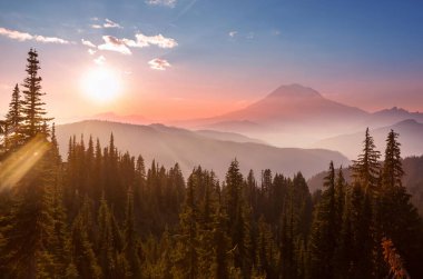 Gün doğumunda Rainier Dağı Ulusal Parkı, ABD, Washington