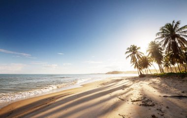 Tropikal sahildeki güzel yaz manzaraları. Tatil arkaplanı.