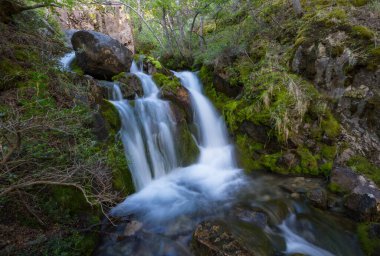 Water cascade in the forest, USA