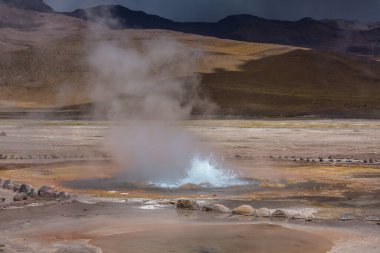 Gündoğumunda Altiplano 'daki jeotermal alan, Şili, Güney Amerika