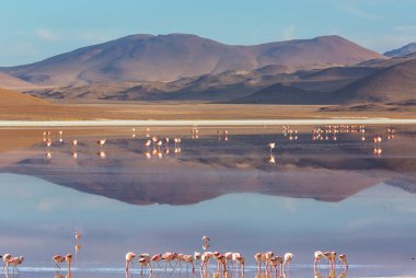 Atacama Çölü, Kuzey Şili 'deki güzel doğal manzaralar.