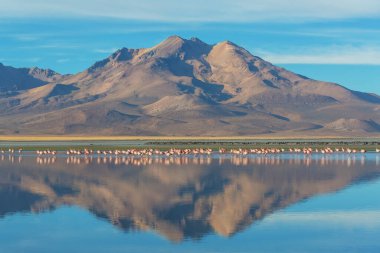 Atacama Çölü, Kuzey Şili 'deki güzel doğal manzaralar.