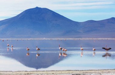 Atacama Çölü, Kuzey Şili 'deki güzel doğal manzaralar.