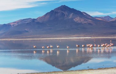 Atacama Çölü, Kuzey Şili 'deki güzel doğal manzaralar.