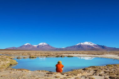 Kuzey Şili, Güney Amerika 'da, Altiplano' daki güzel mavi göl kıyısında bir turist.
